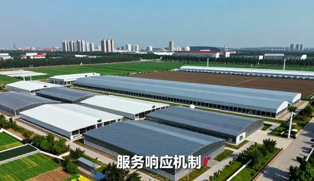 提升驾驶技能的实用技巧与日常维护建议